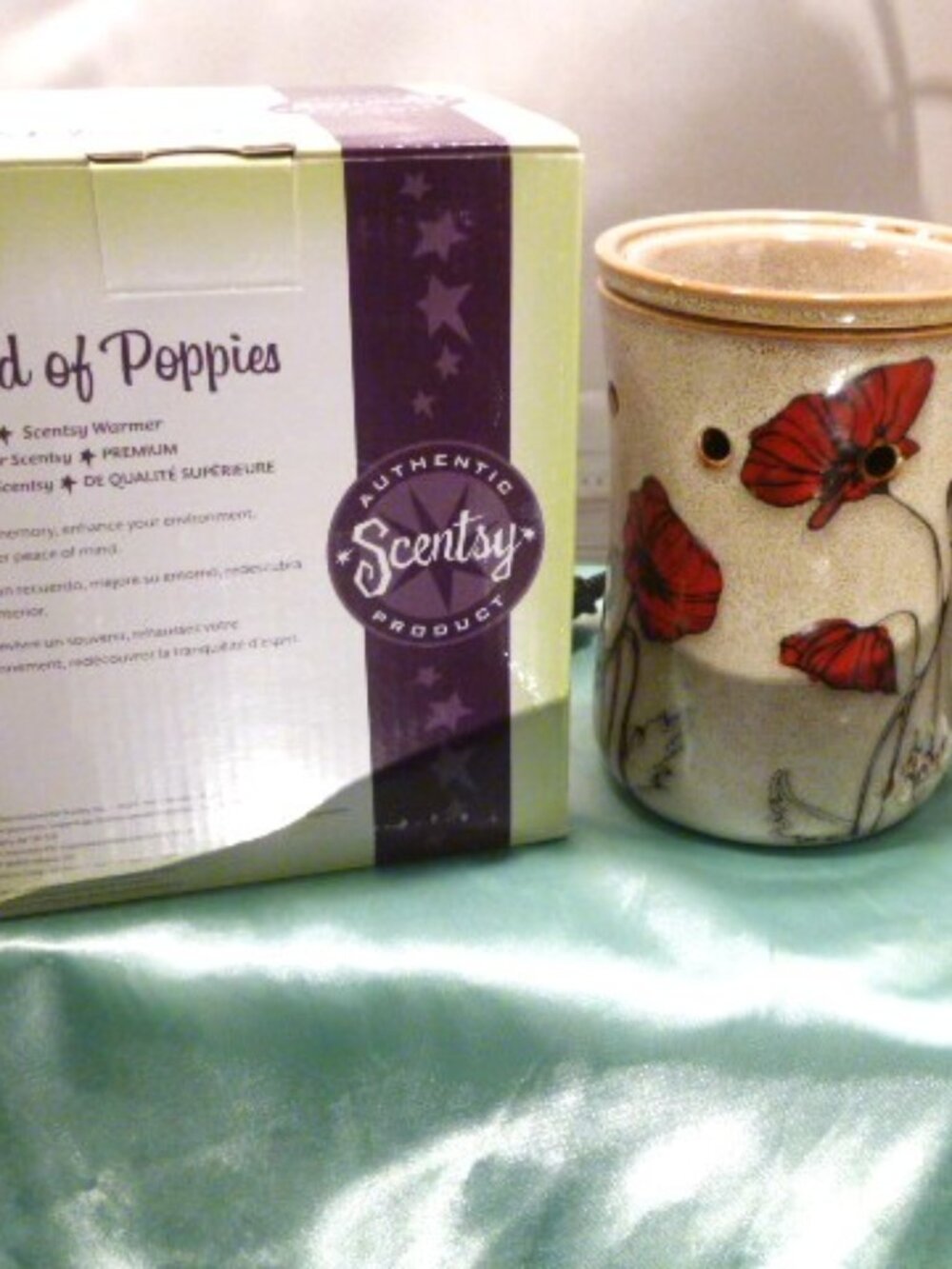 Scentsy Warmer